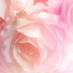 Meet your Posher, Kylie